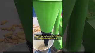 Use crushed corn to make feed pellets at home homeuse feedpellets animalfeed feedpelletmachine [upl. by Nafis673]