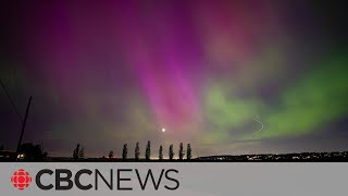 Missed the northern lights You may still have a chance to see them says scientist [upl. by Uela229]