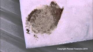 Amido Black 10B Process for Bloody Fingerprints [upl. by Etnor]