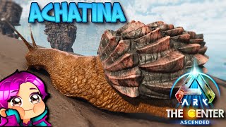 WHERE TO FIND ACHATINA THE CENTER Ark Survival Ascended [upl. by Gnoc753]