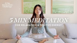 5 Minute Meditation for Relaxation amp Positive Energy  30 Day Meditation Challenge [upl. by Cadmann]