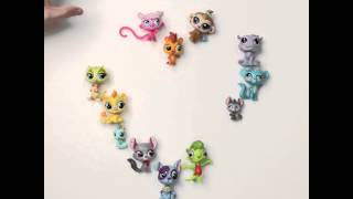 Littlest Pet Shop US  Challenge [upl. by Yedorb]