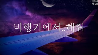 【GL 백합 레즈】비행기에서✈️ ASMR [upl. by Nnyleak222]