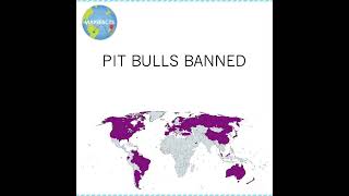 Countries where Pitbulls are banned map dogs pitbulls ban countries youtubeshorts [upl. by Engelhart]