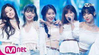 PRODUCE48SummerWish  1000 Special Stage  M COUNTDOWN 180823 EP583 [upl. by Ahsein]