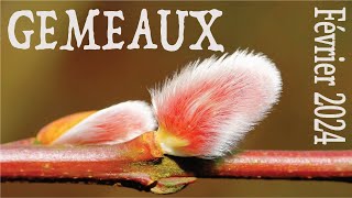 GEMEAUX février 2024  Vous savez ce que vous quotvalezquot [upl. by Tena]