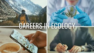 The 4 Types of Careers in Ecology  Careers in Biology and Environmental Science [upl. by Drofnelg693]