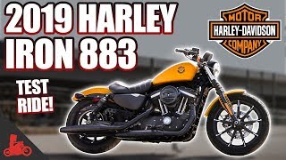 2019 HarleyDavidson Iron 883 TEST RIDE [upl. by Dola]