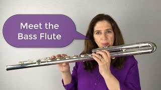 Meet the Bass Flute [upl. by Nairolf]