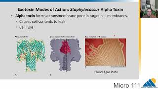 MICRO 111 Ch184 Host Damage and Manipulation  Introductory Microbiology [upl. by Annuahs990]