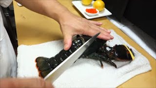 EXTREMELY GRAPHIC Live Maine Lobster For Sashimi Part 1  How To Make Sushi Series [upl. by Hurlow]