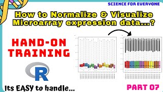 What is Normalization amp HOW it is Performed  HandOn Training  Theory  Practicle [upl. by Uri]