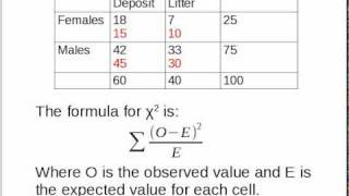 Simple Explanation of ChiSquared [upl. by Glendon]