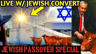 Live Jewish Passover Special  April 22  The Red Heifer Sacrifice With Jewish Convert [upl. by Shanks]