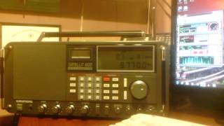 Compare Radios Grundig Satellit 800 Millennium vs Icom PCR1000 [upl. by Eluj877]