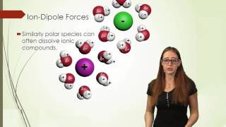 Entropy and Intermolecular Forces Effects on Solution Formation [upl. by Cilka899]