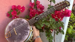 Restoration of a Sunrey English Banjolin Mandolin Banjo [upl. by Melosa709]