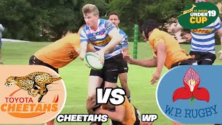 Match Highlights Cheetahs vs WP SA under 19 Cup [upl. by Ennirok281]