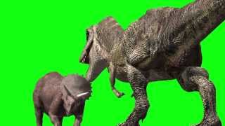 JURASSIC PARK T Rex Triceratops fight animation Royalty Free Green Screen dinosaur 3ds chroma key [upl. by Lorin]