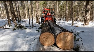 Compact Tractor With Log Grapple And Skidding Winch In Action [upl. by Teerprug]