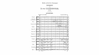 Beethoven quotEgmontquot Overture Op 84 with Score [upl. by Enej]