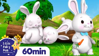 Sleeping Bunnies  LittleBabyBum  Nursery Rhymes for Babies [upl. by Haram484]