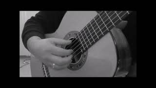 aquila lute strings on guitar NNG short demo  marco de laquila ricercar 3 and 4 [upl. by Kitchen]