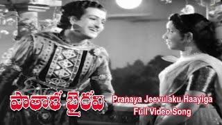 Pranaya Jeevulaku Haayiga Full Video Song  Patala Bhairavi  NTR  K Malathi  ETV Cinema [upl. by Bourne]