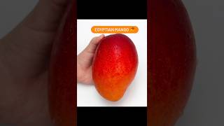 How Egypts Mangoes🥭 Became The Sweetest In The World mango shorts viral [upl. by Caffrey970]