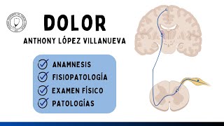 DOLOR Anamnesis ALICIA Fisiopatología Examen Físico Patologías  Semiología [upl. by Bennink372]