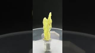 Rare 17 ct Brucite Specimen from Balochistan Pakistan for 15 trending shorts viralvideo [upl. by Enalb]