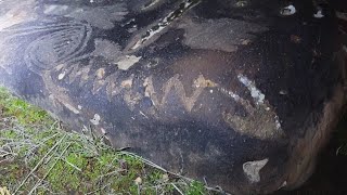 Utah County Petroglyphs Under a Night Filter [upl. by Pasol]