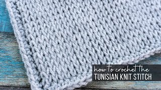 Tunisian Knit Stitch Tutorial [upl. by Zurciram810]