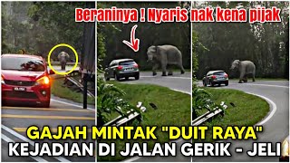 🔴Gajah mintak quotDUIT RAYAquot kereta nyaris nak kena PIJAK  Kejadian di Jalan Gerik  Jeli [upl. by Roselin839]