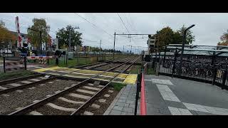 goederen trein komt door station deurne [upl. by Dannie994]