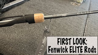 FIRST LOOK Fenwick ELITE Rods [upl. by Fadil]