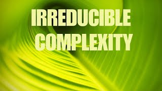 Irreducible Complexity [upl. by Macri139]