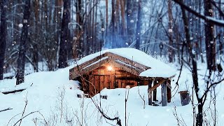 ALEX WILD dugout life Hiding in WINTER SHELTER after snowstorm [upl. by Tobey514]