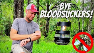 How to Make a DIY Mosquito Trap That Actually Works [upl. by Alexandra]