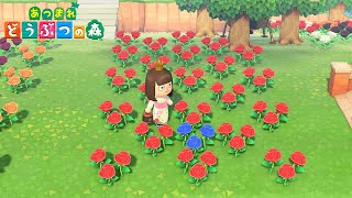 【Animal Crossing New Horizons】Flower Breeding Guide  How To Breed Hybrids【ACNH】 [upl. by Erodasi]