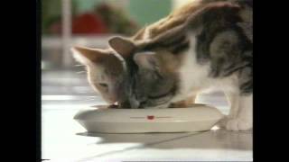 Whiskas Werbespot Mitte der 1990er [upl. by Eidissac]