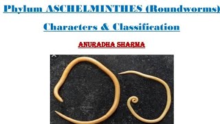 PHYLUM ASCHELMINTHES Characters and Classification [upl. by Milford]