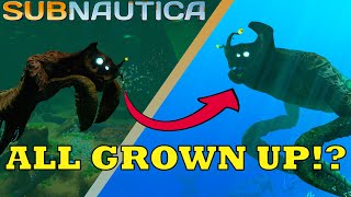 Finding the Juvenile Sea Emperors Subnautica [upl. by Mikal]