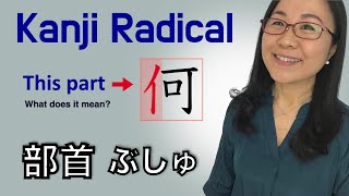 Boost Your Kanji Retention Learn about Japanese Kanji Radicals 部首 Bushu kanjilearning [upl. by Honey]