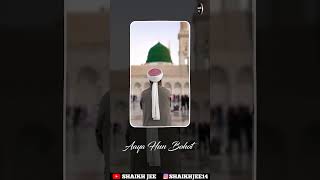 Sarkar Tawaju Farmaye NAAT status viral NAAT status status  Owais Raza Qadri Naat status [upl. by Elly]