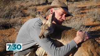 How Chris Brolga Barns became a fulltime kangaroo carer  730 [upl. by Eerahs735]