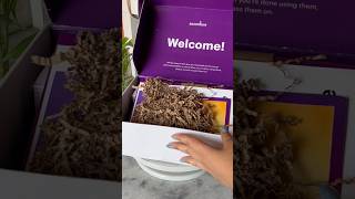 Goodies welcome kit Accenture goodies 2023  accenture goodies new joiner must watch [upl. by Abehshtab]