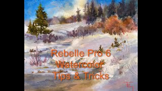 Rebelle Watercolor Tips and Tricks HD 1080p [upl. by Ainsley]