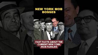 FIVE FAMILIES  Interesting Facts About the New York Mob Families Reveled gambinofamily [upl. by Maude]