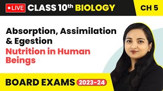 Absorption Assimilation amp Egestion  Nutrition in Human Beings  Class 10 Biology Chapter 5 LIVE [upl. by Billat]